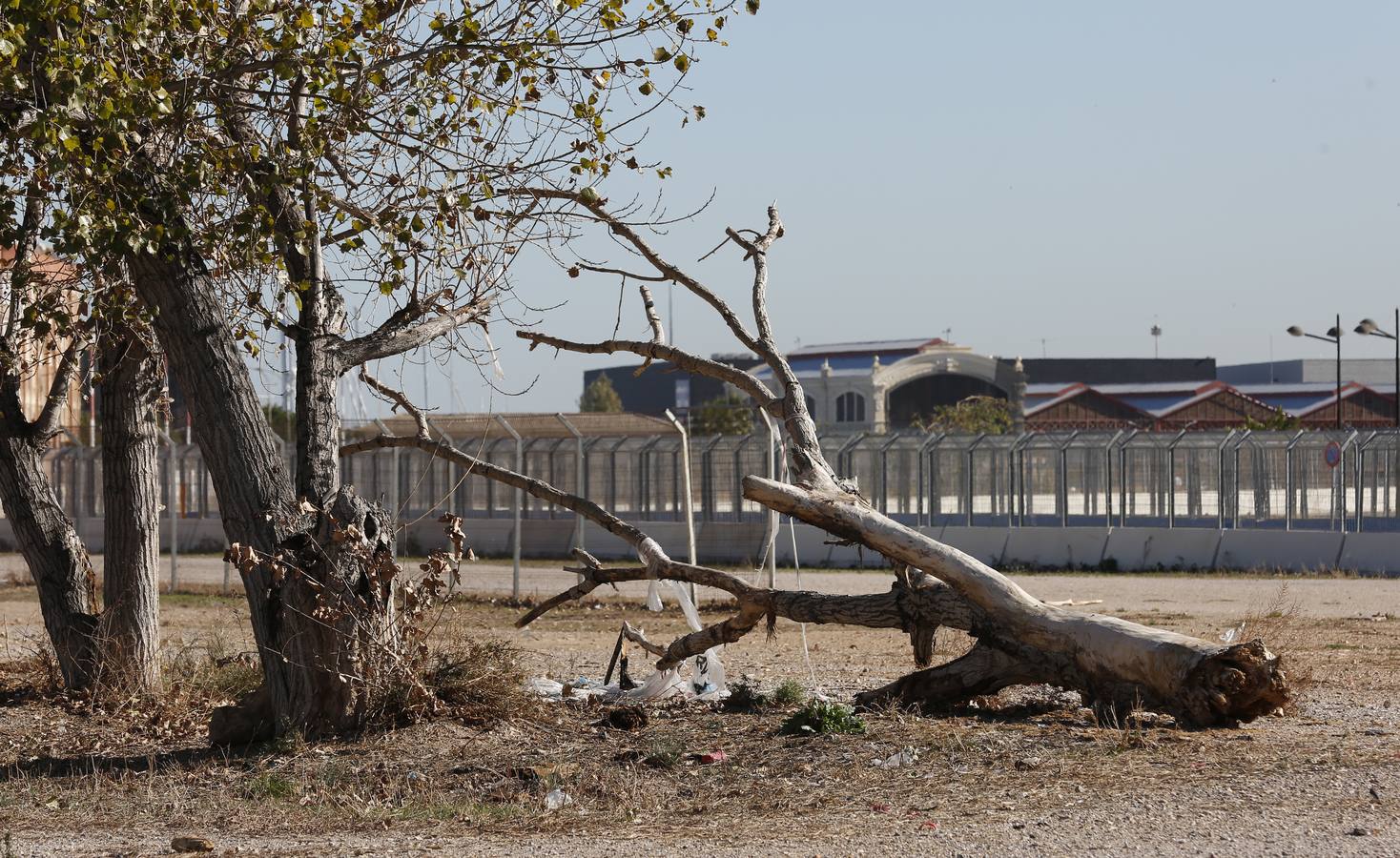 Comienzan los trabajos para eliminar 5.000 piezas del trazado semiurbano de Fórmula 1 de Valencia. Las obras empezarán junto al tinglado 2 y se extenderán al resto de zonas. La parte del Grao, la más deteriorada.