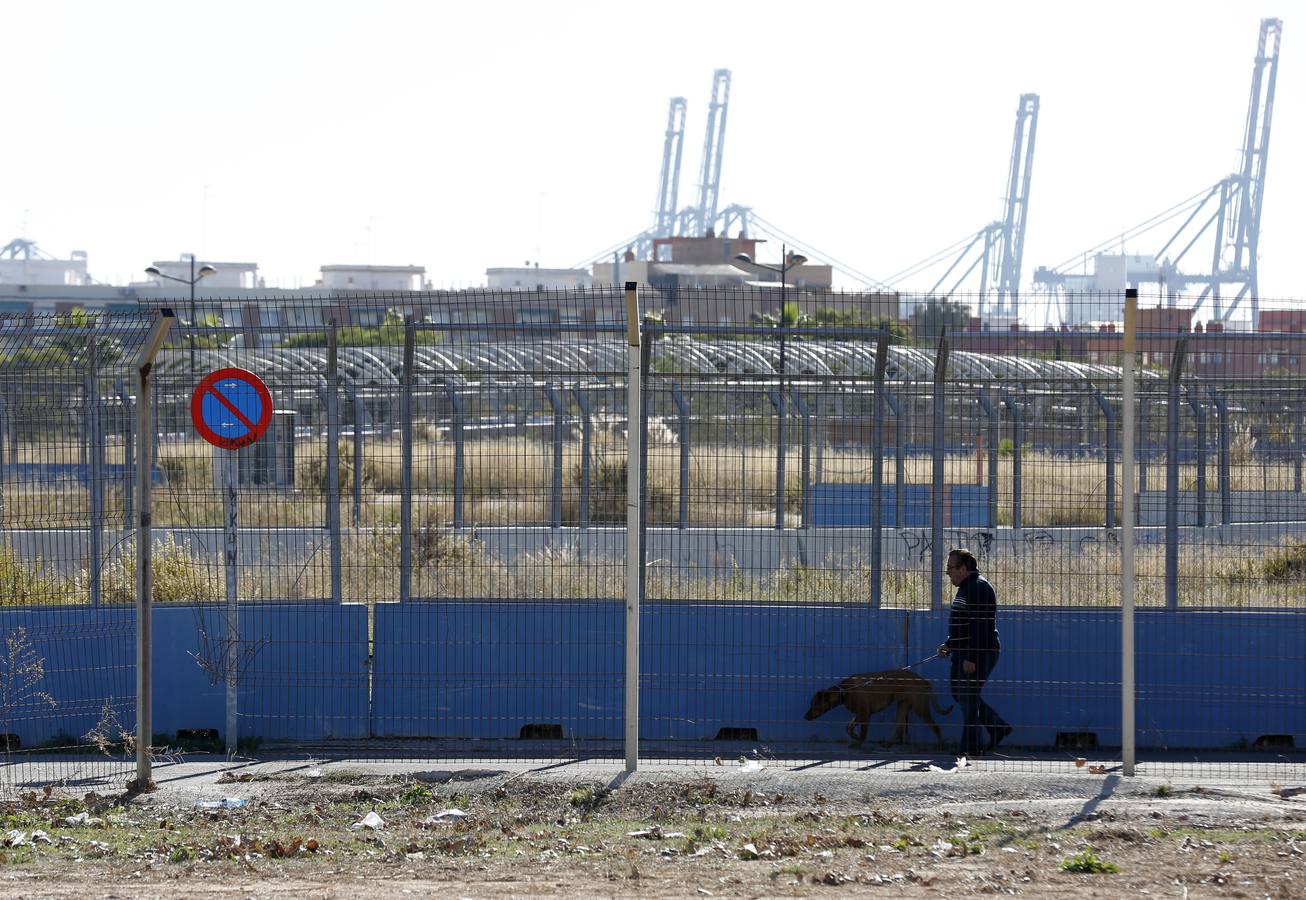 Comienzan los trabajos para eliminar 5.000 piezas del trazado semiurbano de Fórmula 1 de Valencia. Las obras empezarán junto al tinglado 2 y se extenderán al resto de zonas. La parte del Grao, la más deteriorada.