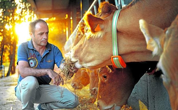 Ricardo Buil, director general de centraldereservas.com, sigue cuidando de sus vacas en sus tiempos libres. 
