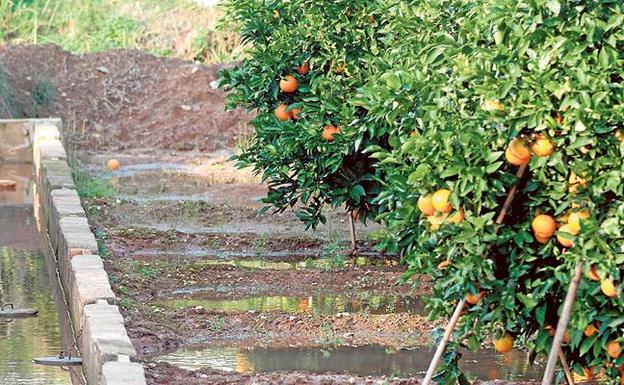 Cada agricultor produce comida para 155 personas