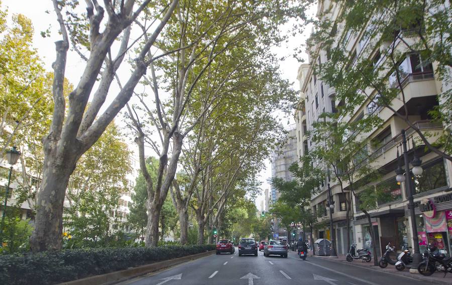 8.- Sus orígenes: En la Gran Vía Marqués del Turia fue donde nació y donde ahora vuelve a tener su casa, desvela.