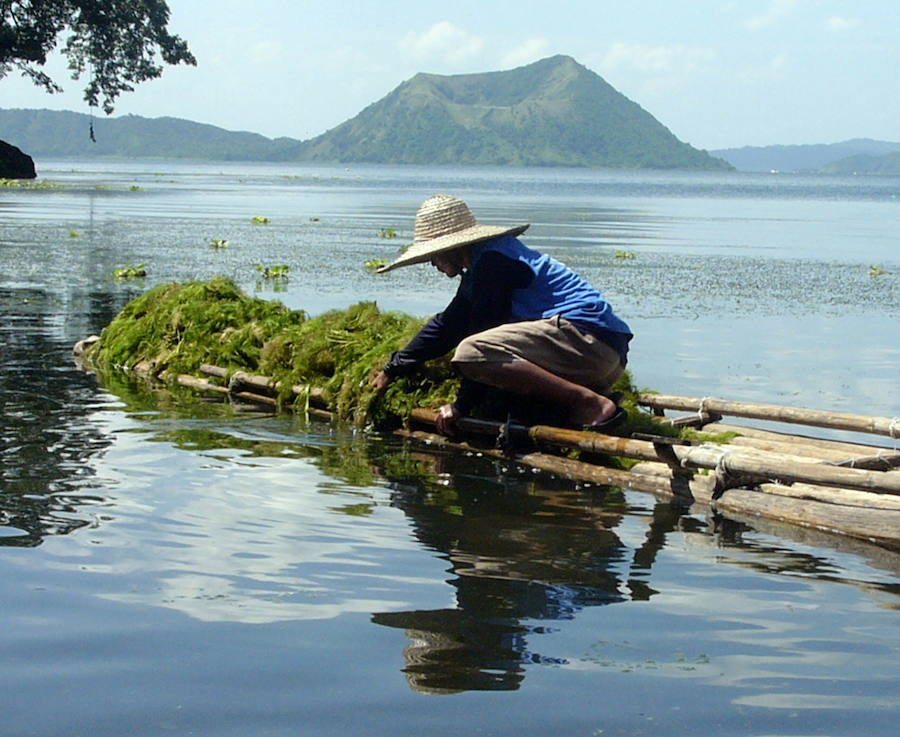 TAAL. Es un volcán monumental que representa un gran peligro por la numerosa población que tiene a su alcance. Por este motivo, es uno de los más estudiados. Se encuentra en medio de un lago en Filipinas, a solo 50 kilómetros de Manila, la capital. Ha entrado en erupción 33 veces desde 1572.