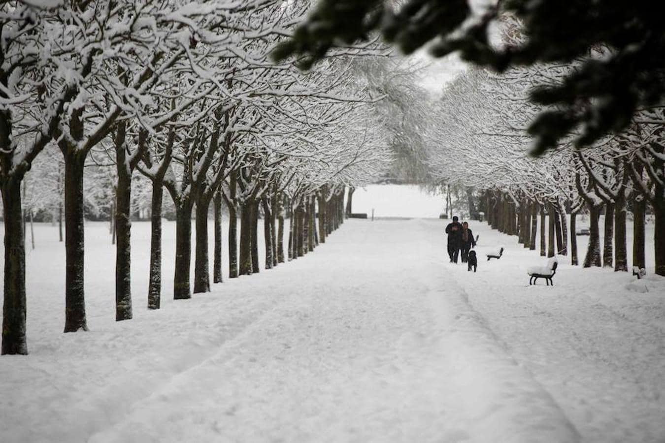 Localidades como Vitoria, Lugo o Huesca han sufrido de forma especial el temporal de nieve
