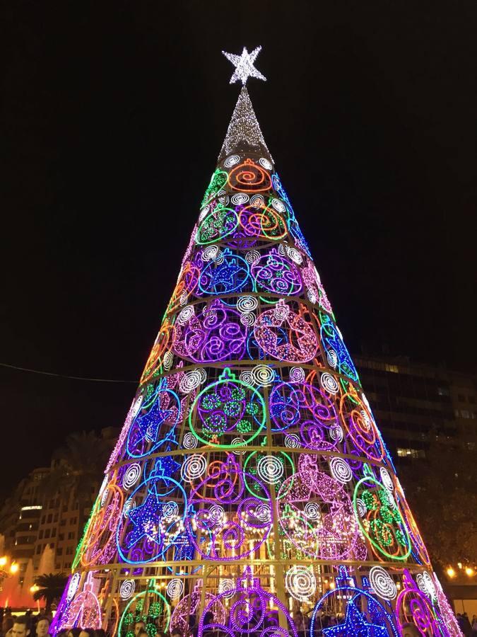 El árbol es visitable por dentro por primera vez