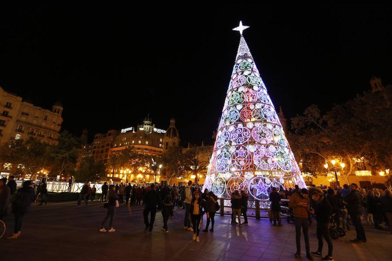 El árbol es visitable por dentro por primera vez