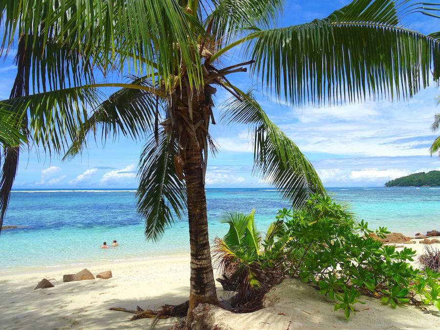 SEYCHELLES. Más de cien islas en el océano Índico. Paraisos de mar y vegetación que cumplirían los deseos de cualquier humano. La ISLA DIGUE es la imagen emblemática de este conjunto, pero sin duda, cuenta con las mismas vistas que la mayoría: rodeadas de aguas de color turquesa, con playas de arenas blancas y palmeras.