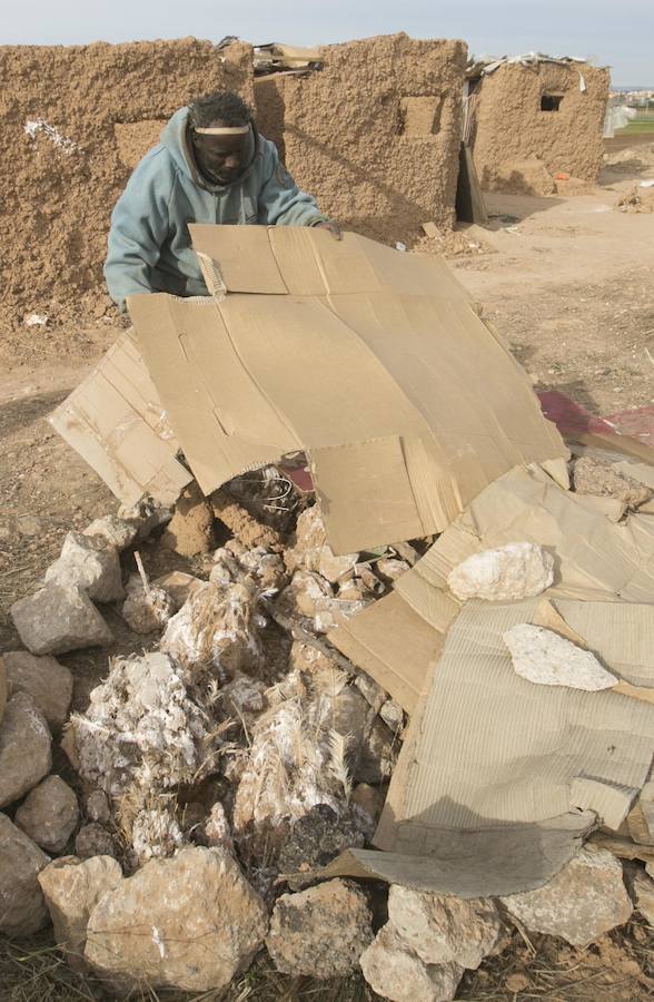 Un inmigrante levanta con sus manos una casa africana de adobe junto al Bioparc | Barro, plásticos y maderas sirven a un congoleño para construir una vivienda con muros de dos metros; «como de la basura y bebo de la huerta», dice el africano