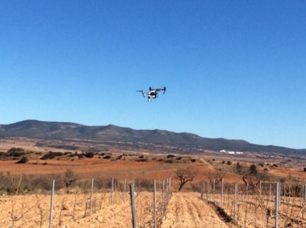  Vuelo. Un dron evoluciona sobre un viñedo en Requena, durante la jornada organizada por COAG para mostrar a agricultores interesados las posibilidades de usos con estos aparatos. 