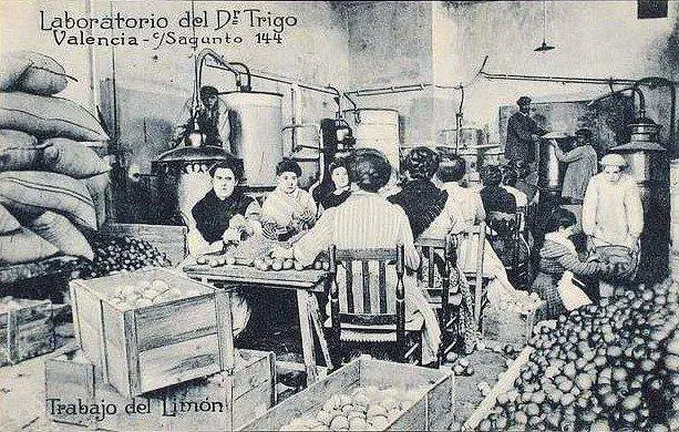 El farmacéutico valenciano Agustín Trigo Mezquita creó en las décadas de 1920 y 1930 los refrescos Naranjina, Orangina y Trinaranjus. Décadas después, la familia ha recuperado la marca original, Naranjina. El doctor Trigo, además, comercializó su zarzaparrilla y numerosos productos sanitarios y agrícolas. 