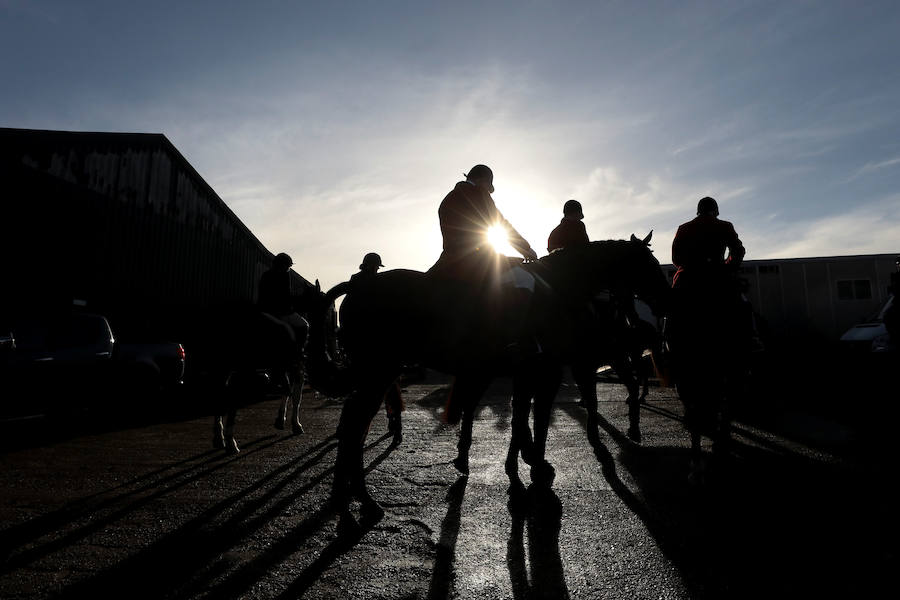 El 26 de diciembre es una fecha señalada y polémica en Reino Unido. Se celebra el 'Boxing Day'. Este día, cientos de cazadores se dan cita en todo el país para la jornada más agitada del calendario: la caza del zorro. 