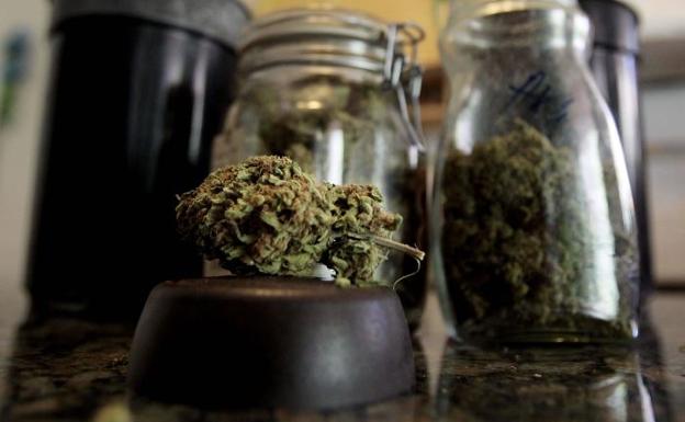 Plantas de marihuana y un cogollo en un domicilio particular.
