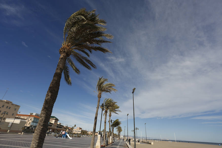 Paseo de la Malvarrosa.