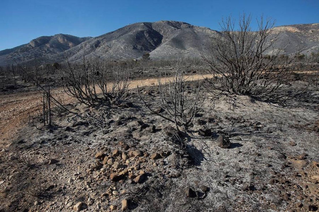 Fotos del incendio de Culla