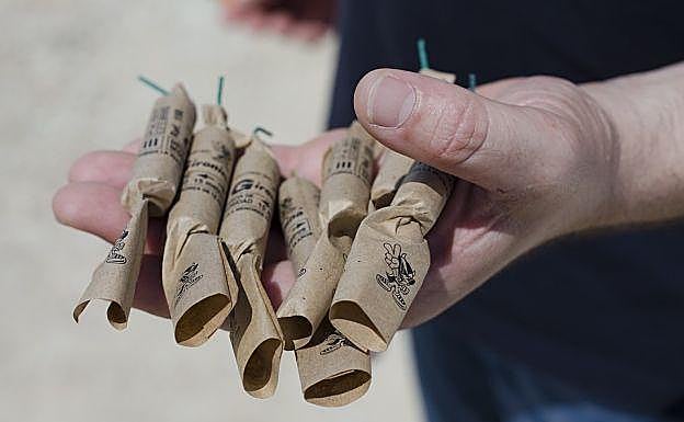 Sacrifican a un gato después de que explotaran un petardo en su boca