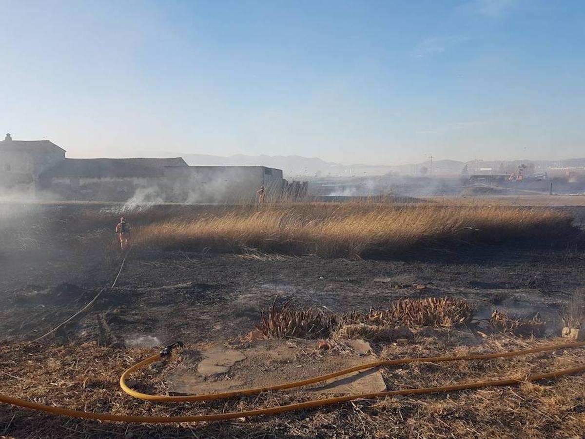 Fotos del incendio en la Marjal dels Moros en Sagunto