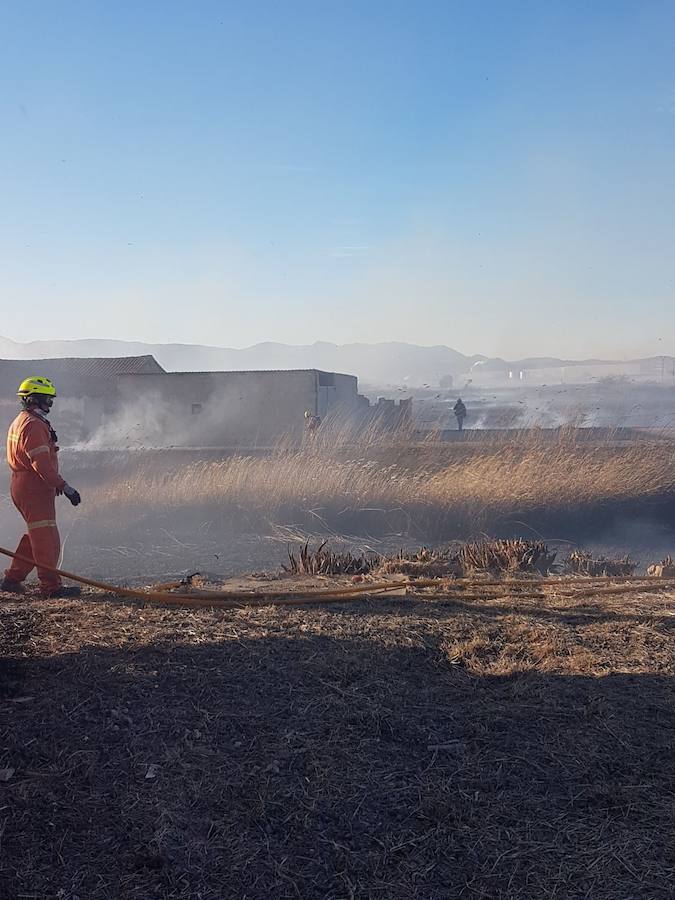 Fotos del incendio en la Marjal dels Moros en Sagunto