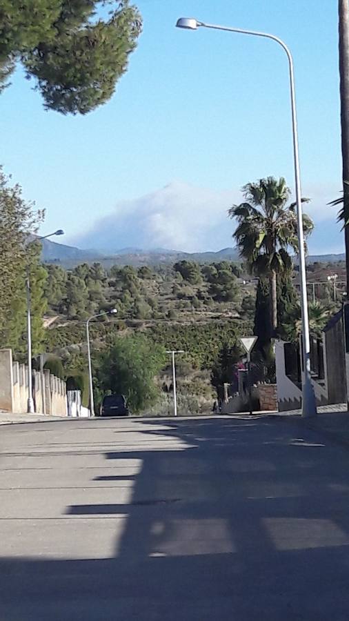 Fotos del incendio en la Marjal dels Moros en Sagunto