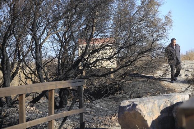 Fotos de la Marjal del Moro tras el incendio