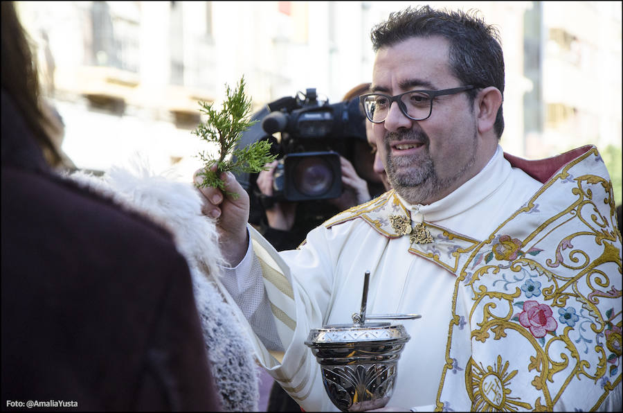 La calle Sagunto es, desde primera hora de la mañana, el epicentro de la celebración de la festividad de San Antonio Abad en la ciudad de Valencia. Perros, gatos, loros, hurones, tortugas o conejos son algunos de los animales que desde las 12.00 horas reciben la bendición en el acto organizado por la Hermandad de San Antonio Abad. El primero en recibir el agua bendita ha sido Currito, la mascota de Vicenta Cerveró, de Campanar. “Vengo desde hace cinco años con él, desde que lo saqué de la protectora de animales”, relata. Los participantes en el desfile, que cerrarán las caballerías, reciben garrofetes y panes bendecidos, además de una estampa de San Antonio Abad. Algunos de los asistentes han llegado a las ocho de la mañana para ser de los primeros en pasar.