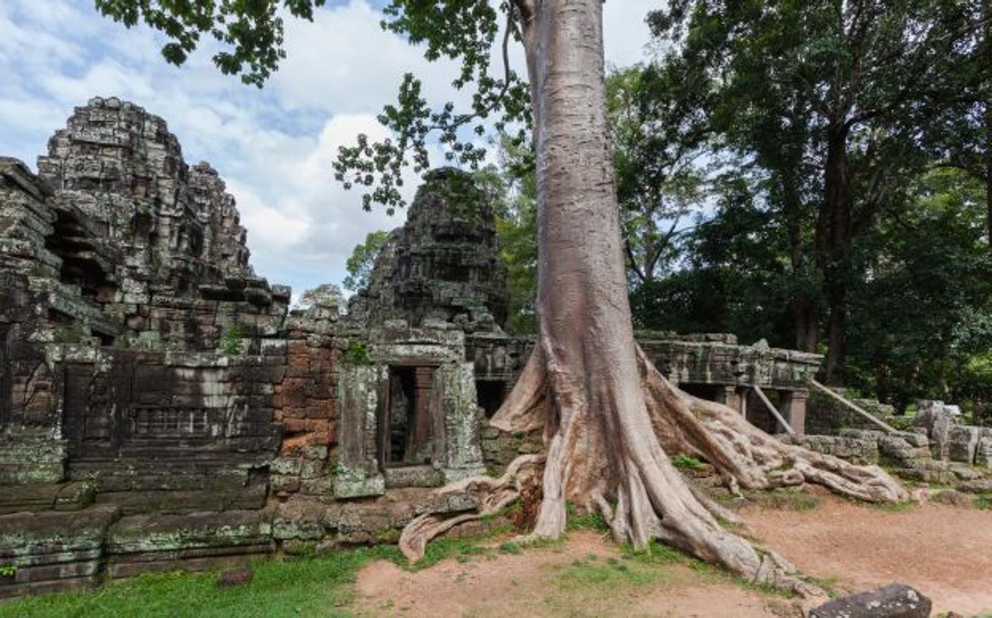 Un bosque que sigue aislado en su mayoría de rutas turísticas a causa de las minas antipersona que sembró el ejército de los Jemeres Rojos en su huida a la selva en las últimas y luctuosas páginas de la historia reciente del país.