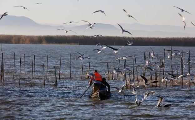 La Junta de Desagüe de la Albufera debe adoptar medidas por el nivel del agua