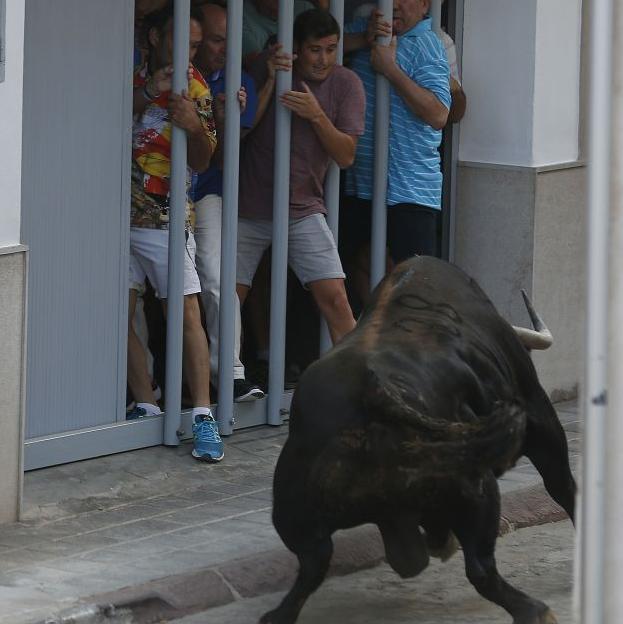 Desencajonada en Puzol.