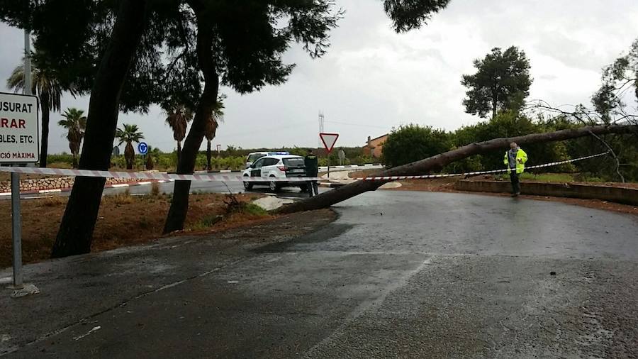 Fotos del temporal en la Comunitat Valenciana