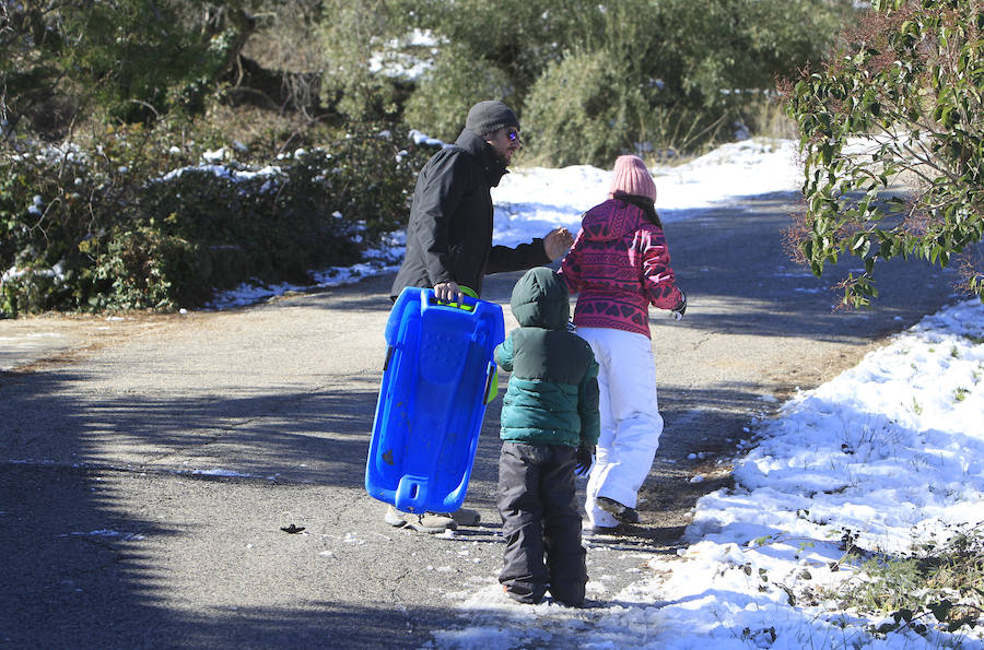 Muchos valencianos han aprovechado el fin de semana para acercarse a disfrutar de la nieve caída en los últimos días. Las zonas más visitadas están siendo los municipios de Agrés, Alcoy o Muro, en la provincia de Alicante, así como Morella y la comarca de Els Ports. Las temperaturas y el volumen de precipitaciones limita el disfrute a modestas batallas de bolas de nieve y la construcción de algunos muñecos, en los que más de uno ha aprovechado sus propias bufandas y gorros para decorarlos, debido a la clima primaveral que reinó durante la mañana del sábado.