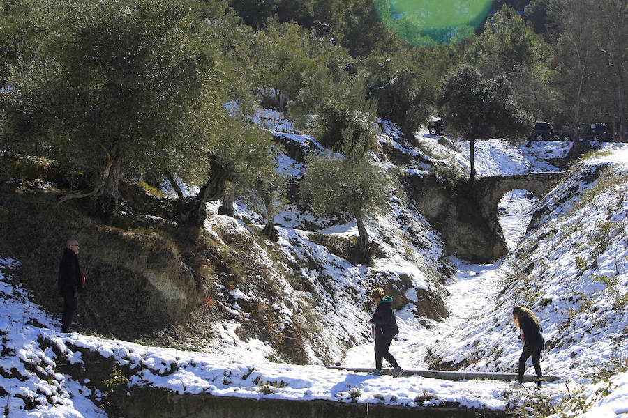 Muchos valencianos han aprovechado el fin de semana para acercarse a disfrutar de la nieve caída en los últimos días. Las zonas más visitadas están siendo los municipios de Agrés, Alcoy o Muro, en la provincia de Alicante, así como Morella y la comarca de Els Ports. Las temperaturas y el volumen de precipitaciones limita el disfrute a modestas batallas de bolas de nieve y la construcción de algunos muñecos, en los que más de uno ha aprovechado sus propias bufandas y gorros para decorarlos, debido a la clima primaveral que reinó durante la mañana del sábado.