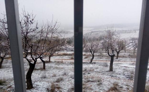 Requena, esta mañana. 