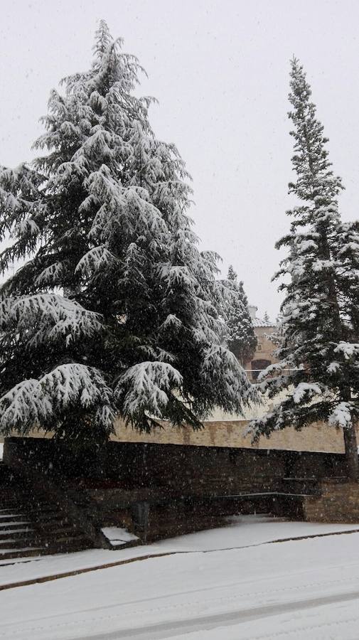 Fotos de la gran nevada en Valencia y Castellón