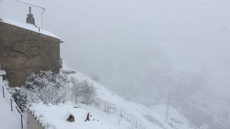 Fotos de la gran nevada en Valencia y Castellón