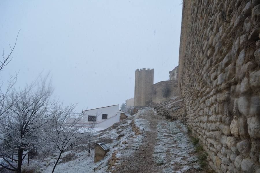 Morella