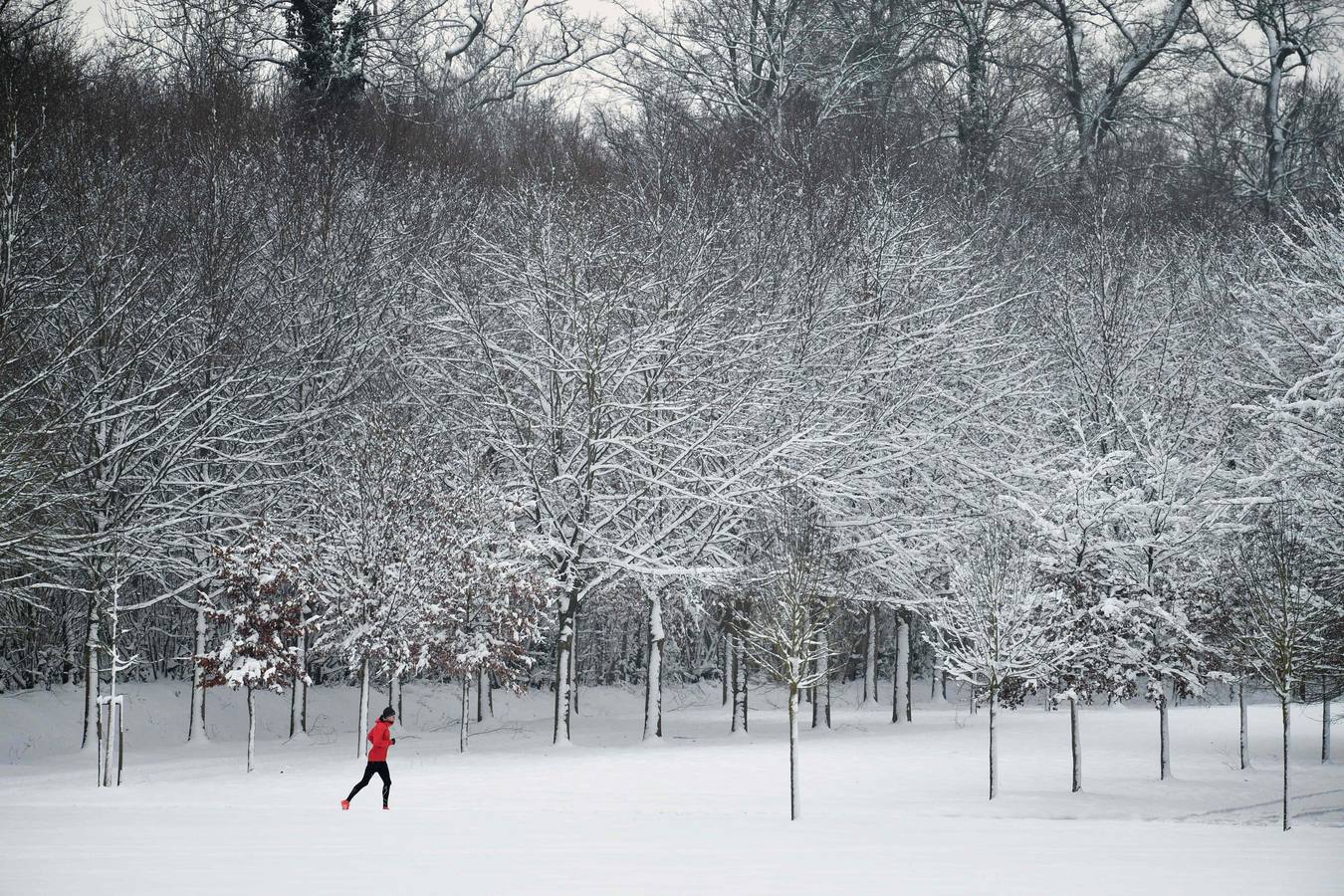 La capital francesa muestra estos días su imagen más invernal. Lugares emblemáticos como la Torre Eiffel, la Basílica del Sagrado Corazón, Versalles o los Campos Elíseos se han visto cubiertos por un temporal de nieve sin precedentes.