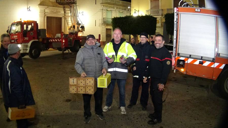 Fotos del rescate de ocho palomos deportivos en el campanario de la iglesia de Sollana