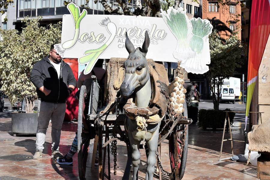 La plaza del Ayuntamiento de Valencia ha acogido este domingo la tercera edición del mercado de proximidad 'De l'Horta a la Plaça', en el que 55 productores y diez puestos de distribución han compartido el céntrico enclave de la ciudad con talleres, charlas y música. La propuesta de fomento de la producción agrícola de proximidad organizada por la Concejalía de Agricultura y Pueblos de Valencia arrancó a las 10 de la mañana con actividades divulgativas, culturales y lúdicas.