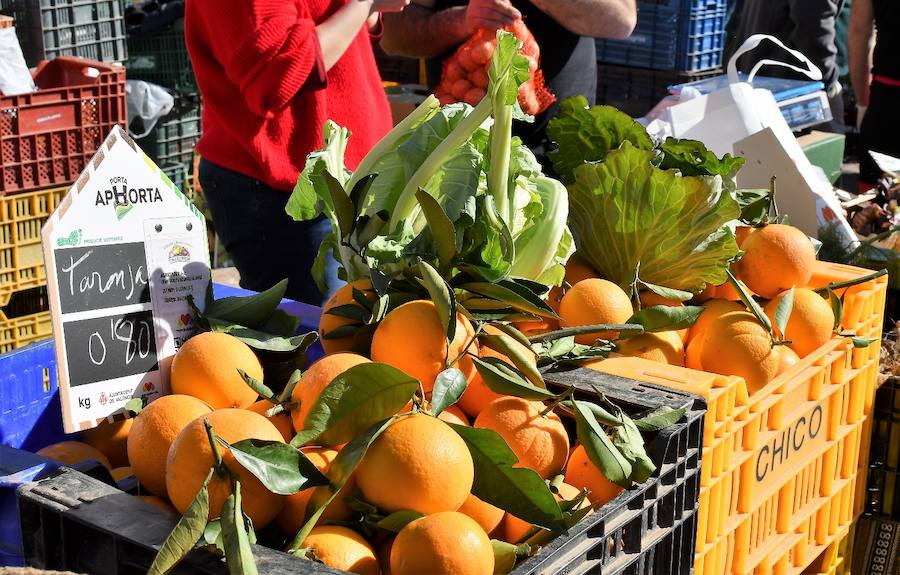 La plaza del Ayuntamiento de Valencia ha acogido este domingo la tercera edición del mercado de proximidad 'De l'Horta a la Plaça', en el que 55 productores y diez puestos de distribución han compartido el céntrico enclave de la ciudad con talleres, charlas y música. La propuesta de fomento de la producción agrícola de proximidad organizada por la Concejalía de Agricultura y Pueblos de Valencia arrancó a las 10 de la mañana con actividades divulgativas, culturales y lúdicas.