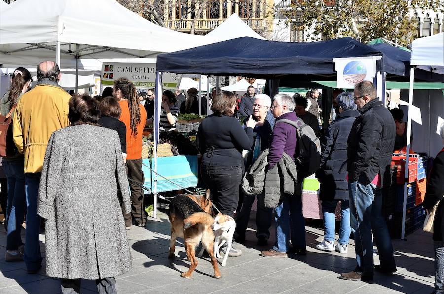 La plaza del Ayuntamiento de Valencia ha acogido este domingo la tercera edición del mercado de proximidad 'De l'Horta a la Plaça', en el que 55 productores y diez puestos de distribución han compartido el céntrico enclave de la ciudad con talleres, charlas y música. La propuesta de fomento de la producción agrícola de proximidad organizada por la Concejalía de Agricultura y Pueblos de Valencia arrancó a las 10 de la mañana con actividades divulgativas, culturales y lúdicas.