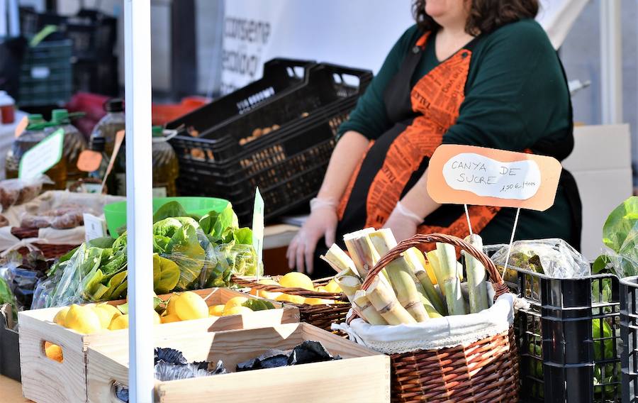 La plaza del Ayuntamiento de Valencia ha acogido este domingo la tercera edición del mercado de proximidad 'De l'Horta a la Plaça', en el que 55 productores y diez puestos de distribución han compartido el céntrico enclave de la ciudad con talleres, charlas y música. La propuesta de fomento de la producción agrícola de proximidad organizada por la Concejalía de Agricultura y Pueblos de Valencia arrancó a las 10 de la mañana con actividades divulgativas, culturales y lúdicas.