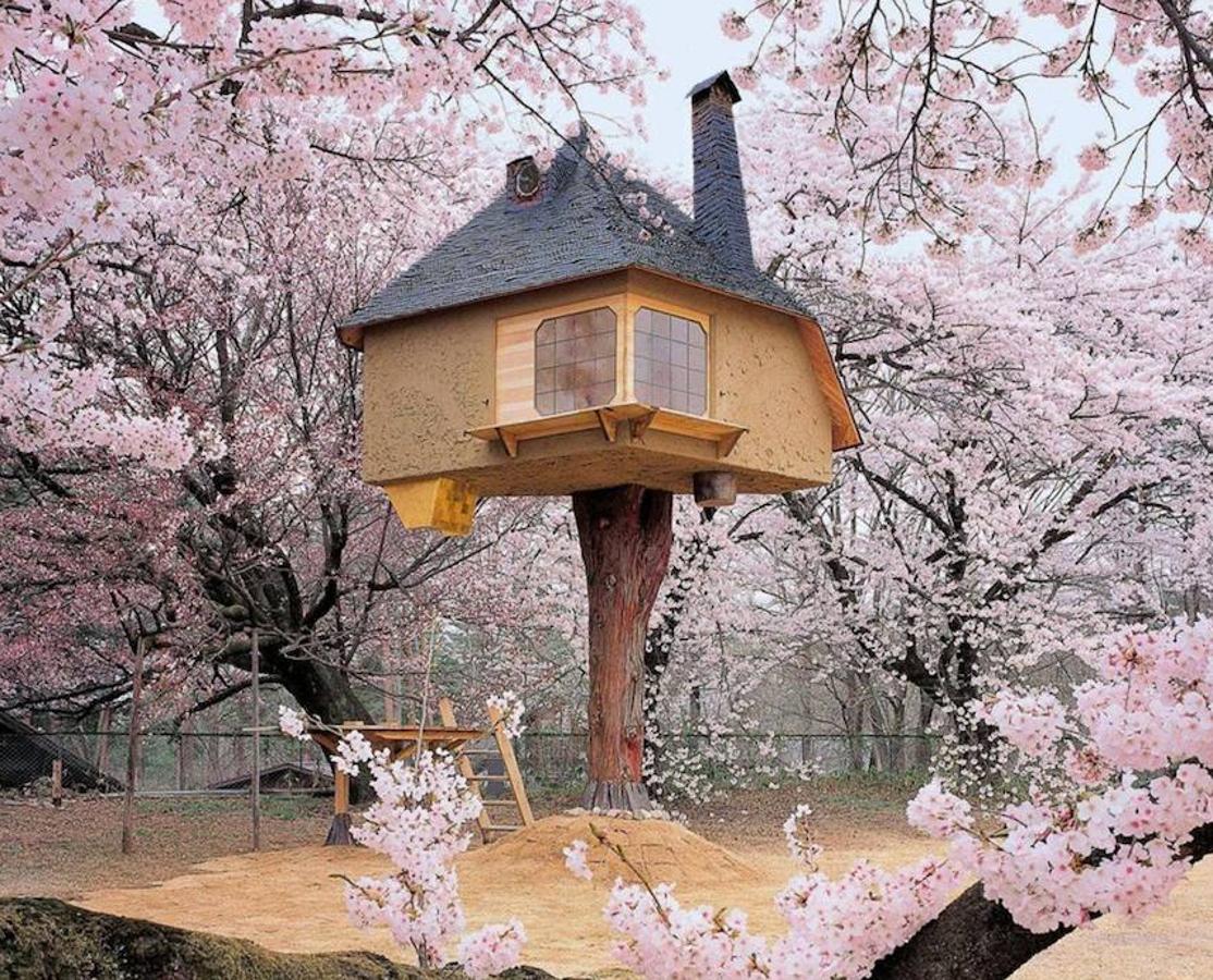 La casa del té (Japón). Esta construcción se levanta encima de un ciprés y simula ser la típica casa del té Japonesa.