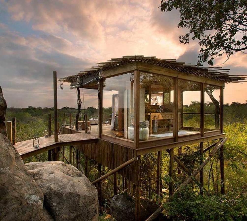 Kingston Treehouse. Una de las opciones más exclusivas para dormir bajo las estrellas del cielo de Sabi Sands, Sudáfrica. 