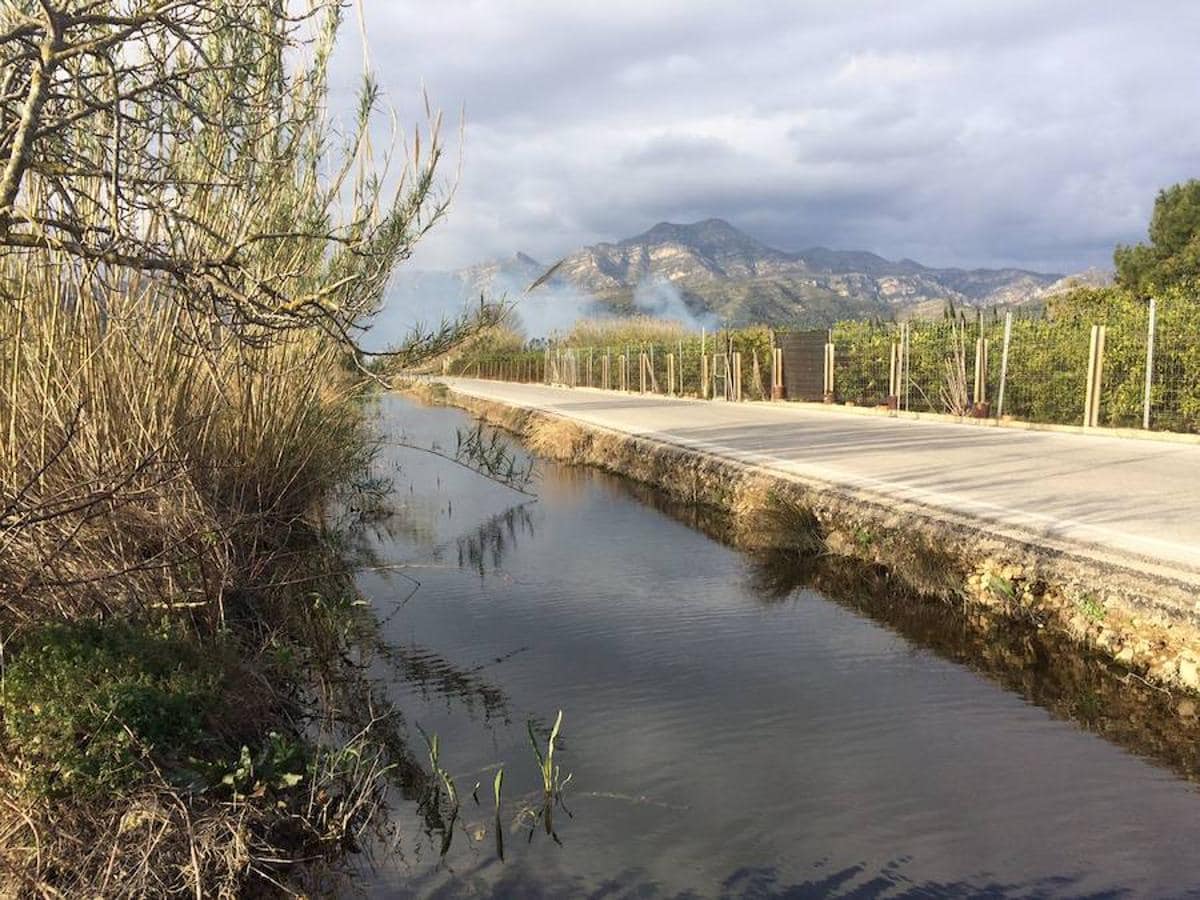 MARJAL DE LA SAFOR | Está ubicada entre Tavernes de la Valldigna, Xeraco, Xeresa y Gandía, con 1.225 hectáreas de extensión. La Serra Grossa abastece con sus aguas esta zona que alberga cultivos y fauna de gran interés.