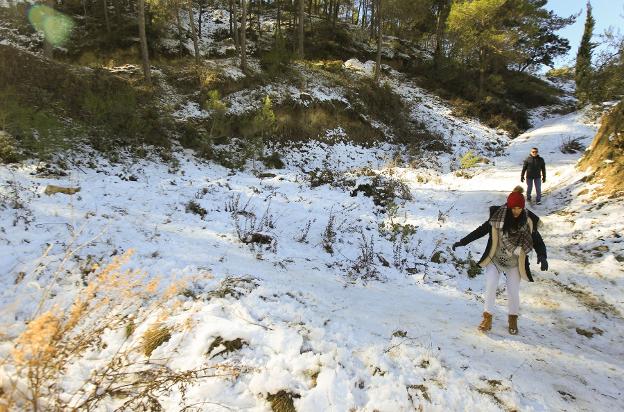 La nieve visitó la Comunitat a comienzos de febrero. 