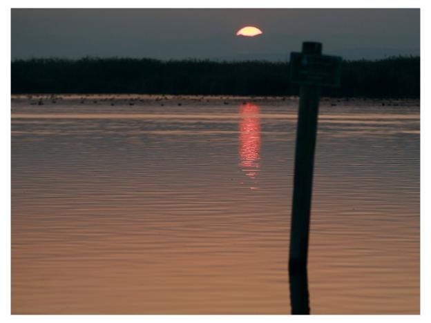 Vista de la laguna de la Albufera. 