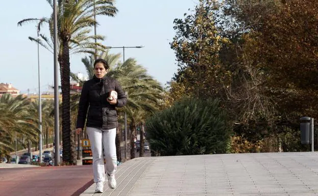 El tiempo en Valencia: El Ayuntamiento cierra parques y jardines por el viento