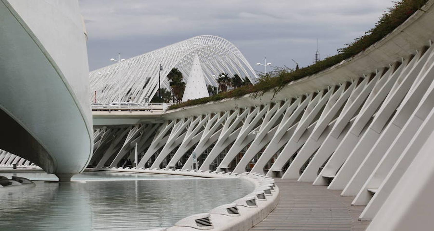 Arquitectura y turismo | Cuando Rocío ejerce de cicerone, hay un sitio al que siempre acude y nunca falla en su elección. "La Ciudad de las Artes y las Ciencias es un lugar donde me encanta llevar a gente que no conoce Valencia y pasear por allí", reconoce la joven. "A ellos les fascina y yo me enorgullezco, aún más, de mi ciudad", apunta.