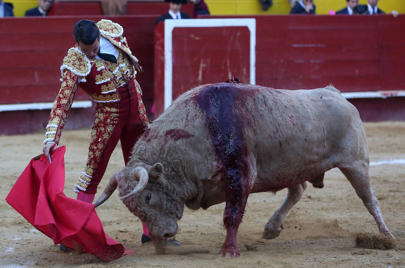 Roca Rey se ha proclamado triunfador absoluto de la corrida de toros de este viernes en Valencia con una faena tremendamente creativa y emocionante. El torero peruano ha salido a hombros de la plaza en la Feria de Fallas. Los tendidos han estado llenos de caras conocidas.