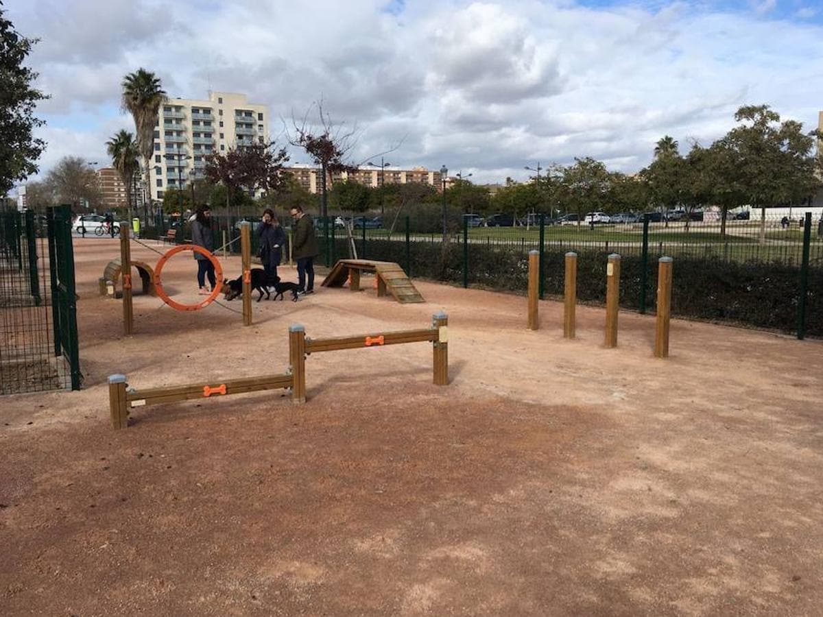 Estos son los parques de Alicante en los que puedes soltar a tu mascota  para jugar