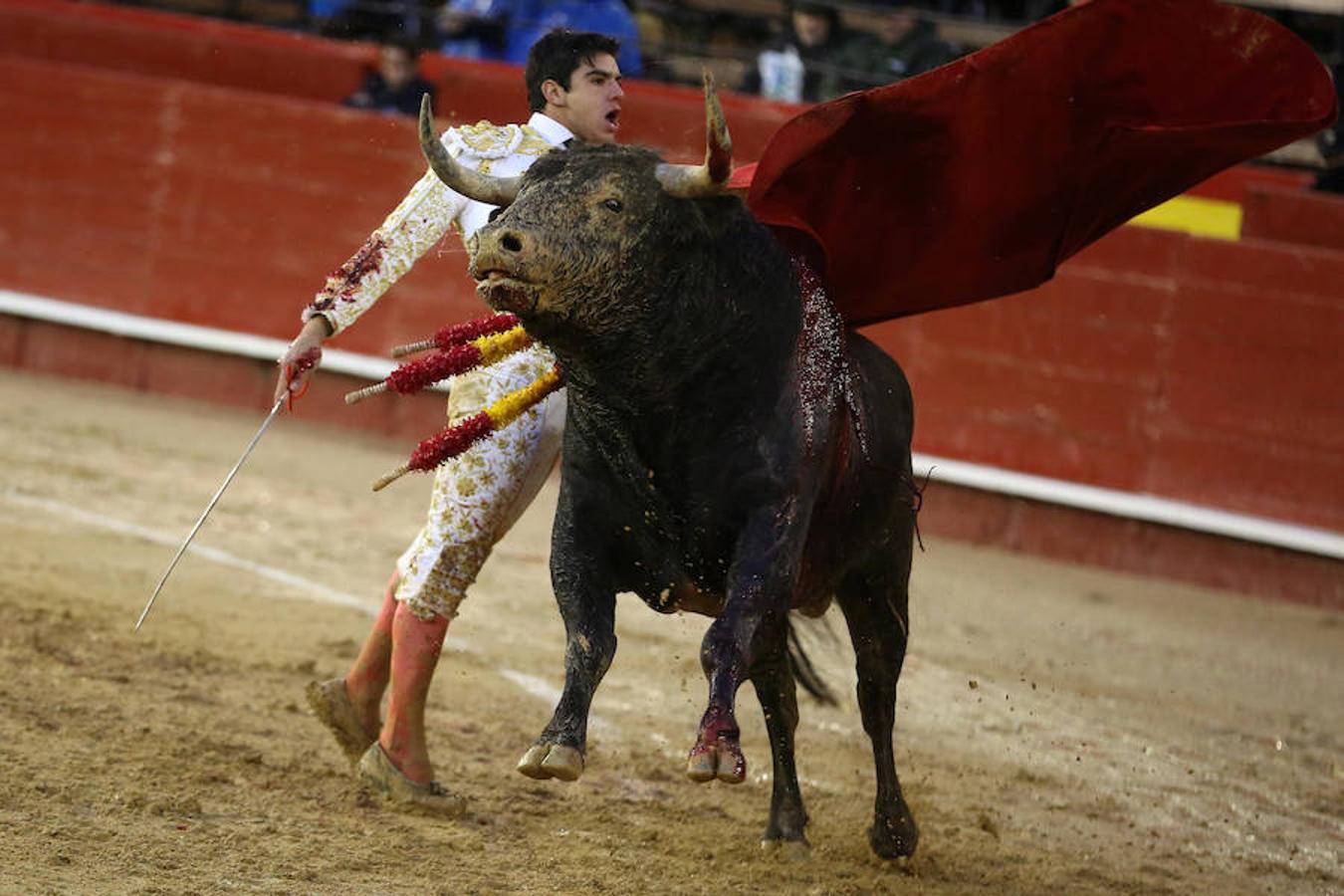 El joven matador venezolano Jesús Enrique Colombo cortó la única oreja concedida en la corrida que cerró este lunes la feria de Fallas, celebrada bajo un aguacero y en la que los fallos con la espada dejaron sin premio dos buenas y templadas faenas de los extremeños Antonio Ferrera y Ginés Marín.