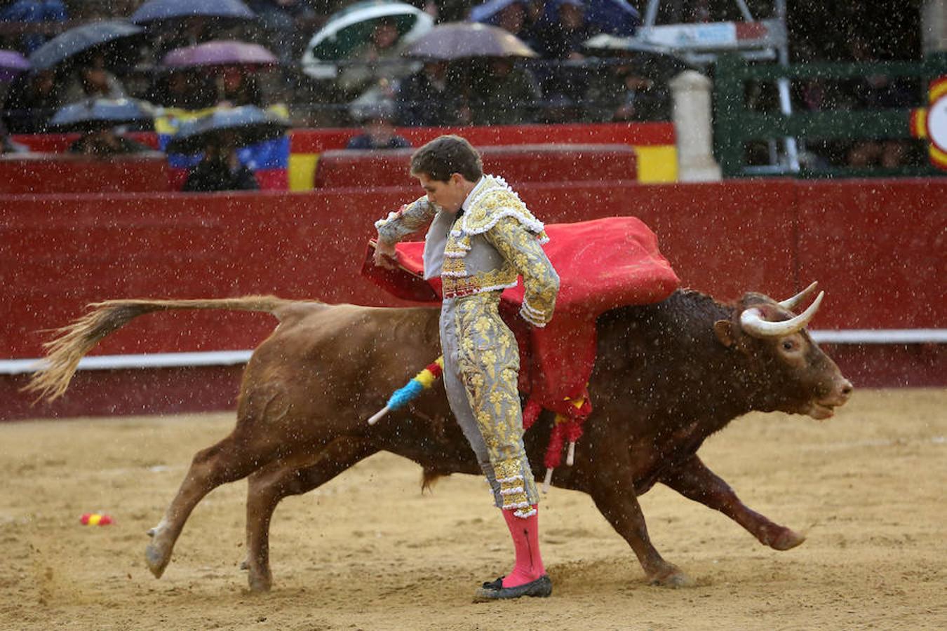 El joven matador venezolano Jesús Enrique Colombo cortó la única oreja concedida en la corrida que cerró este lunes la feria de Fallas, celebrada bajo un aguacero y en la que los fallos con la espada dejaron sin premio dos buenas y templadas faenas de los extremeños Antonio Ferrera y Ginés Marín.